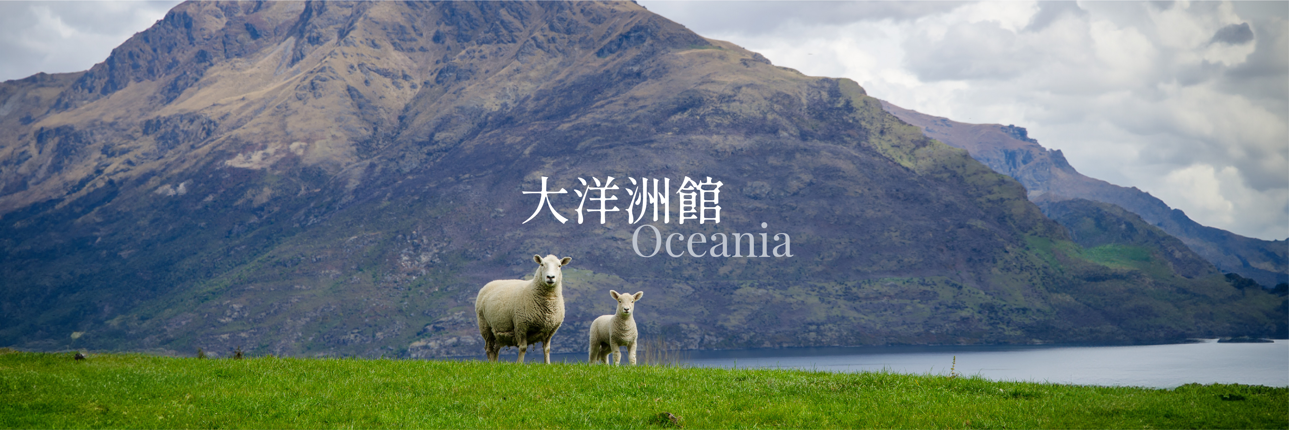 這是一張圖片